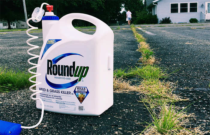 Monsanto Ordered to Pay $289 Million in World’s First Roundup Cancer Trial.