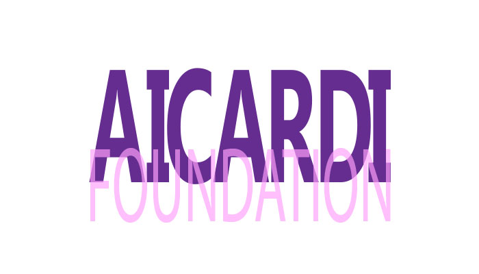 Aicardi Foundation Fundraiser.